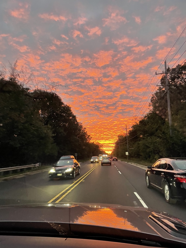 Road Trip Adventures: Finding Joy in the Journey